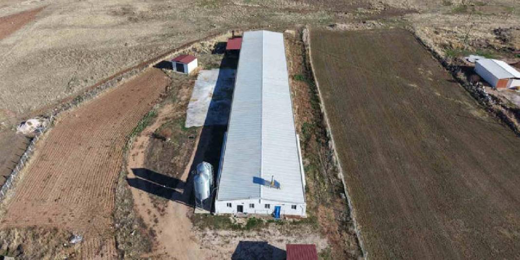 Devlet desteğiyle ikinci çiftliğini açtı: Yılda 360 ton beyaz et sağlıyor 5